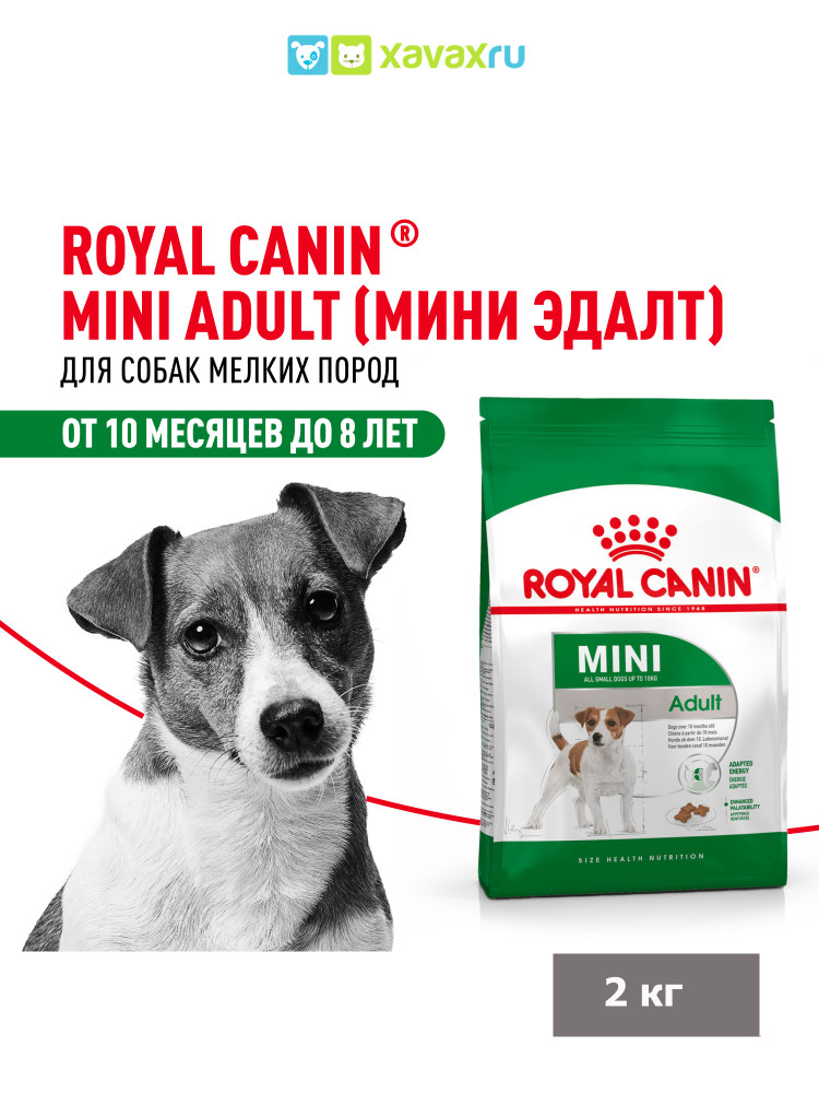 Сухой корм Royal Canin Mini Adult для взрослых собак мелких размеров от 10 месяцев