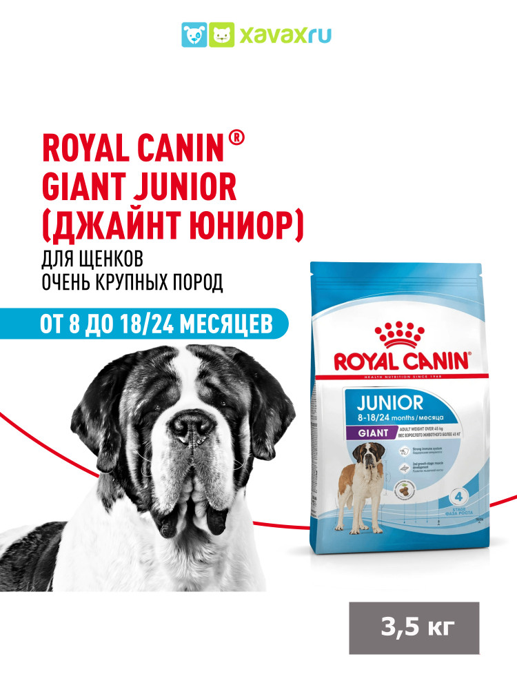 Сухой корм Royal Canin Giant Junior для щенков очень крупных пород в возрасте от 8 до 18/24 месяцев