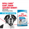 Сухой корм Royal Canin Giant Junior для щенков очень крупных пород в возрасте от 8 до 18/24 месяцев