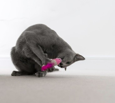 Petstages Игрушка для кошек Dental 