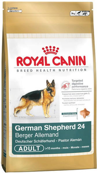 German-Shepherd-24.jpg