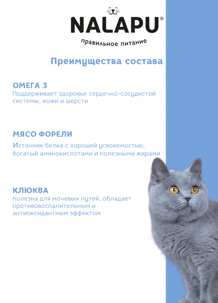 Корм влажный НАЛАПУ Beauty, паучи для взрослых кошек с диетическим мясом форели в нежном соусе, (упаковка 12 шт по 77 г)