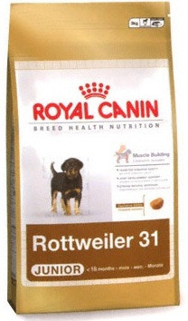 Rottweiler-31.jpg