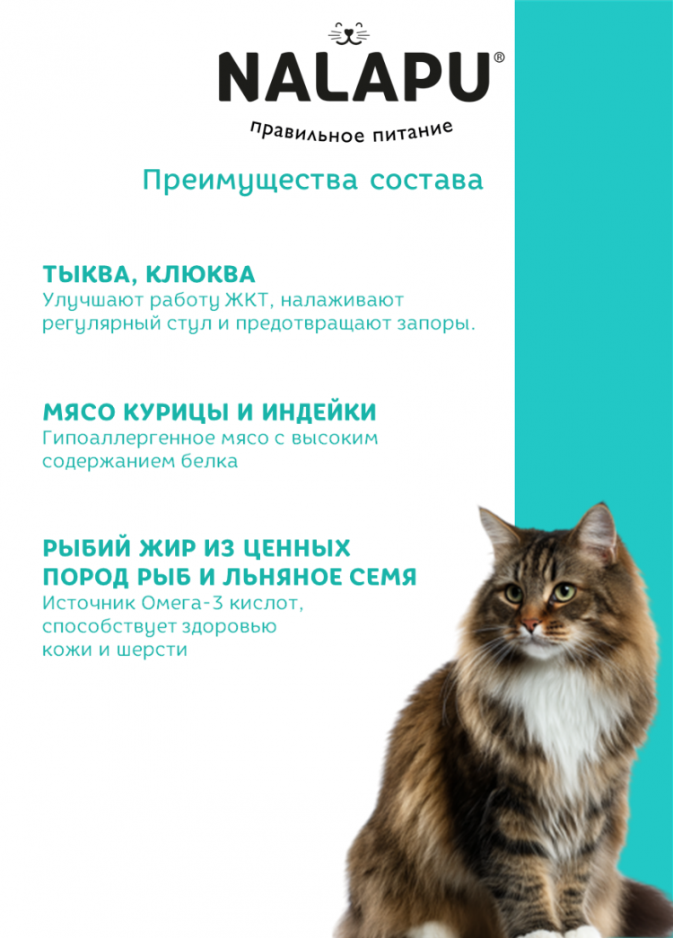 Корм влажный НАЛАПУ Indoor&Hairball, паучи для взрослых кошек сочные кусочки с курицей в желе, (упаковка 12 шт по 77 г)