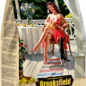 Сухой корм Brooksfield для взрослых домашних кошек с индейкой и рисом