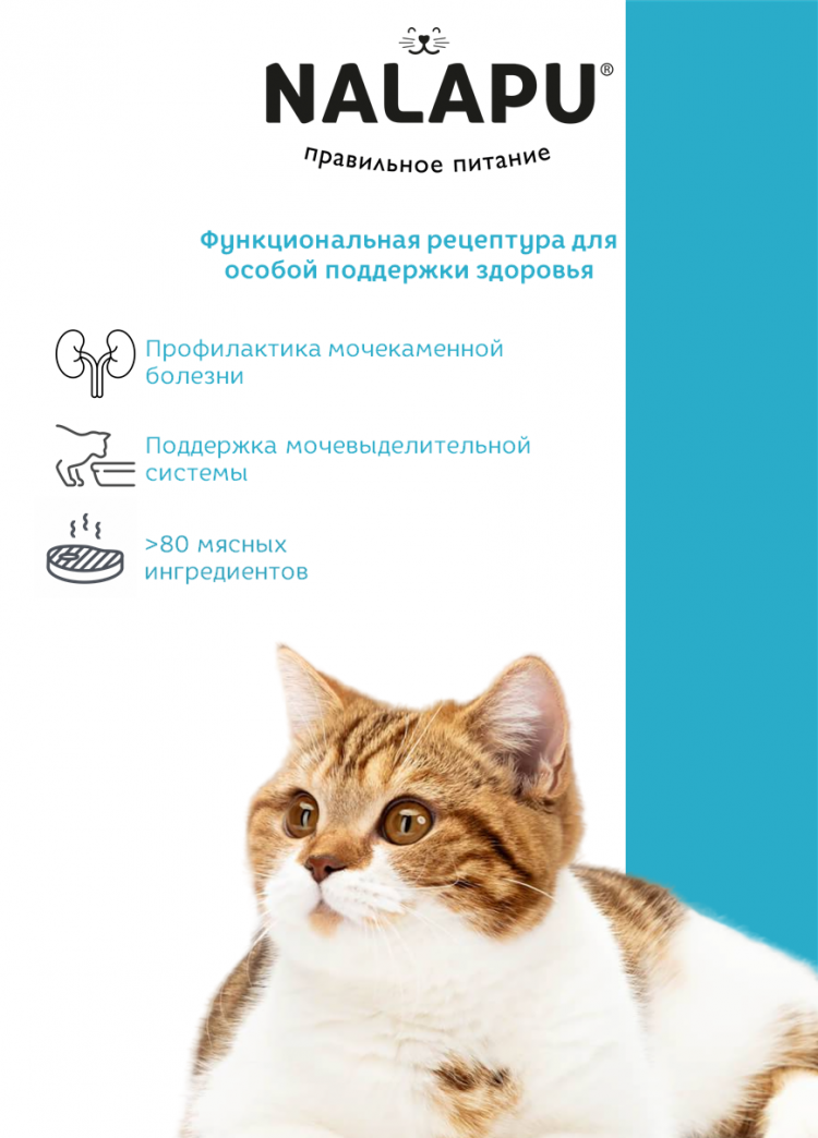 Корм влажный НАЛАПУ Urinary, паучи для взрослых здоровых кошек, стерил.кошек, пожилых кошек с мясом индейки в желе, (упаковка 12 шт по 77 г)