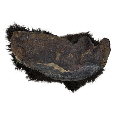 Organix Премиум лакомство 