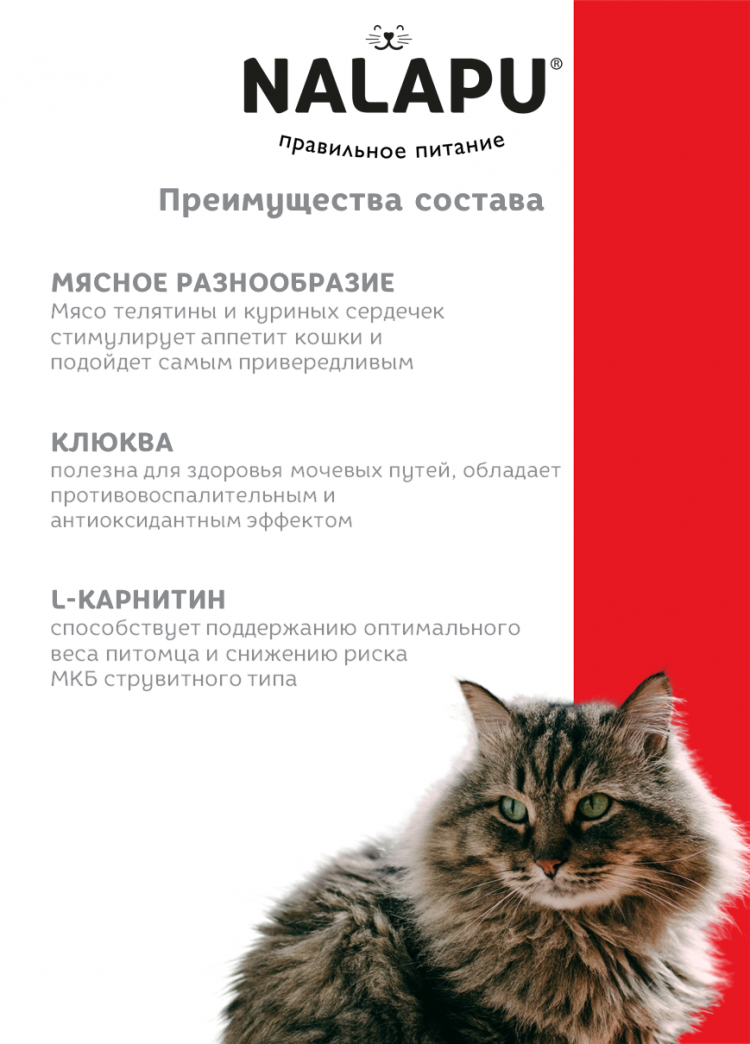 Корм влажный НАЛАПУ The Best Appetite, паучи для взрослых кошек с плохим аппетитом с мясом телятины и куриными сердечками в соусе, (упаковка 12 шт по 77 г)