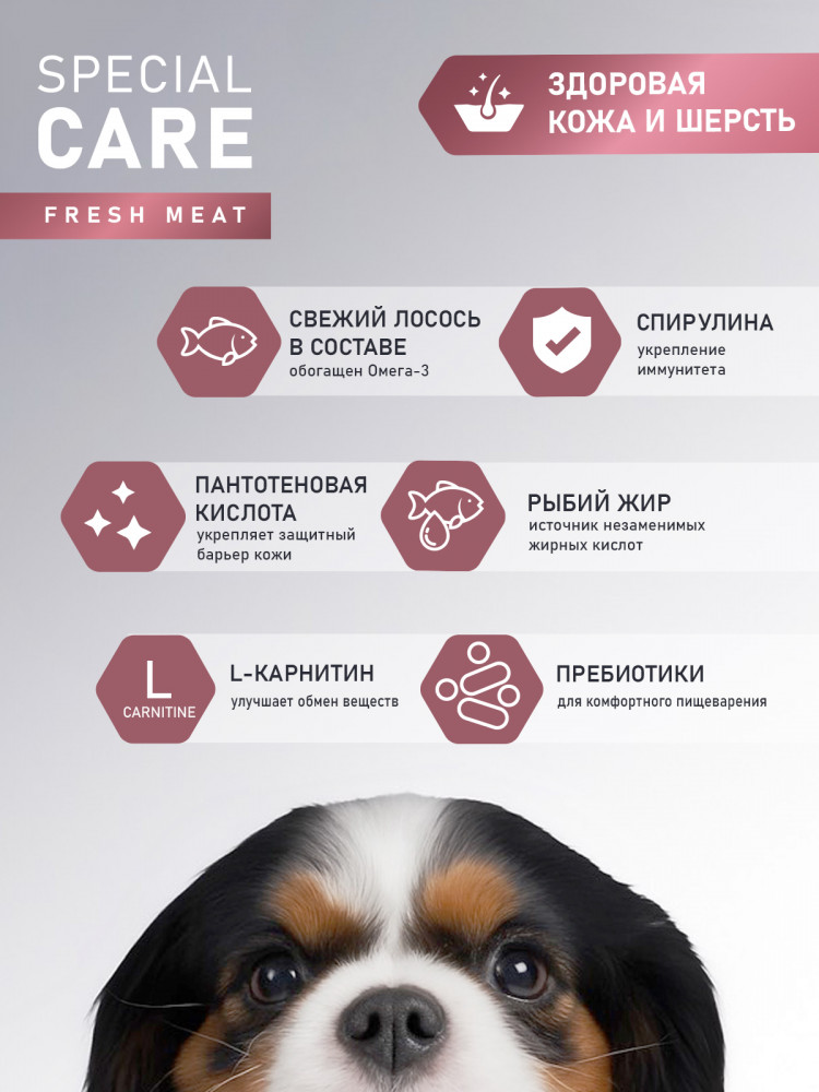 Сухой корм AWARD SPECIAL CARE Sensitive Skin&Coat для взрослых собак всех пород для здоровой кожи и шерсти со свежим лососем