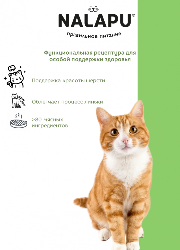 Корм влажный НАЛАПУ Sterilized, паучи для стерилизованных кошек и кастрированных котов с мясом говядины в желе, (упаковка 24 шт по 77 г)