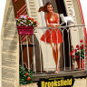 Сухой корм Brooksfield для взрослых кошек с избыточным весом и стерилизованных, с курицей и рисом