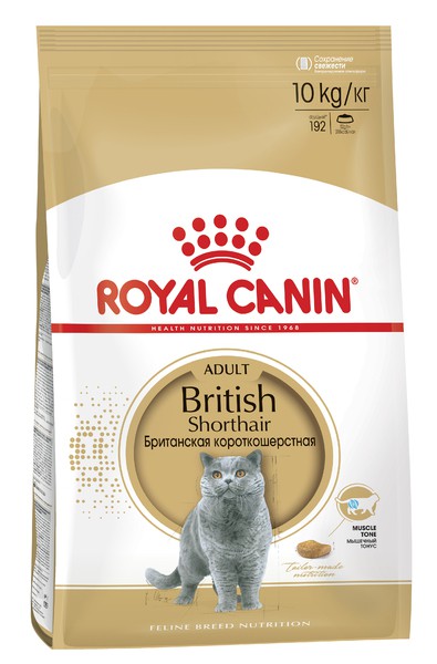 Royal canin british shorthair 34 online