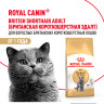 Сухой корм Royal Canin British Shorthair Adult для взрослых британских короткошерстных кошек