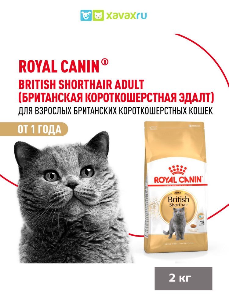 Сухой корм Royal Canin British Shorthair Adult для взрослых британских короткошерстных кошек