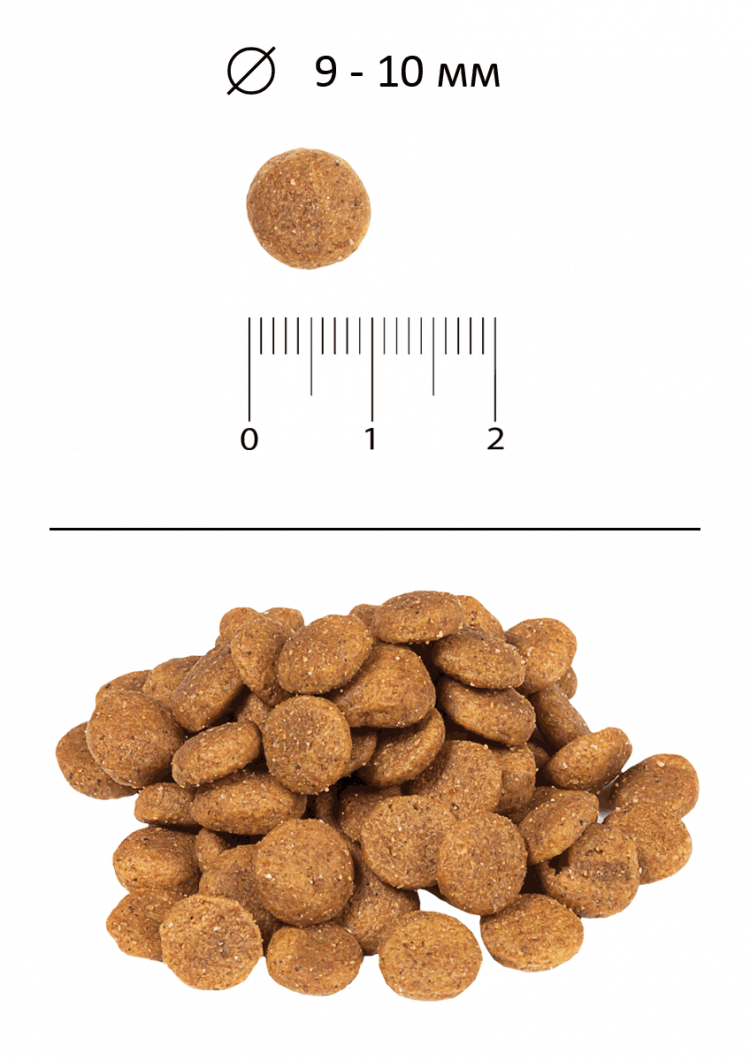 Blitz Classic Сухой корм для собак мелких и миниатюрных пород всех возрастов Mini & Toy Breeds Dog All Life Stages