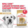 Сухой корм Royal Canin Labrador Retriever Adult для взрослых собак породы Лабрадор Ретривер от 15 месяцев