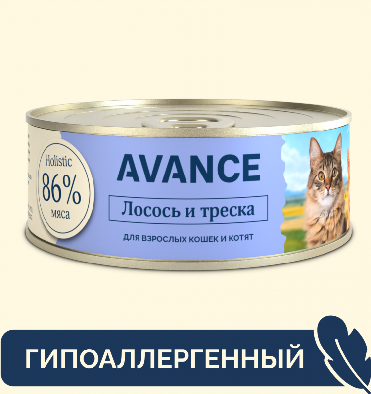 AVANCE holistic консервы Для кошек и котят с лососем и треской, Natural&Healthy Salmon&Cod 12 шт по 100 г