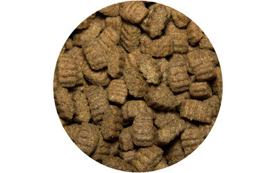 All Dogs Полнорационный корм для взрослых собак, с курицей