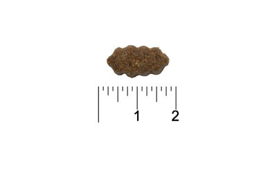 All Dogs Полнорационный корм для взрослых собак, с курицей