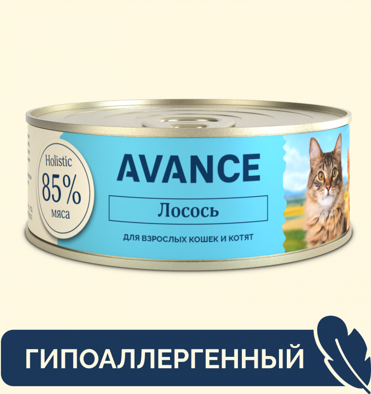 AVANCE holistic консервы Для кошек и котят с лососем, Natural&Healthy Salmon 12 шт по 100 г