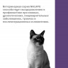 Корм влажный НАЛАПУ Recovery, паучи для восстановления питания и выздоровления у кошек, (упаковка 24 шт по 77 г)
