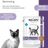 Корм влажный НАЛАПУ Recovery, паучи для восстановления питания и выздоровления у кошек, (упаковка 24 шт по 77 г)