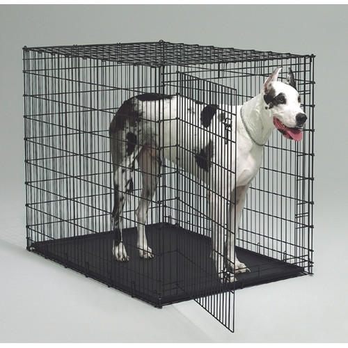 Starter Series Pet Home with Plastic Pan.jpg