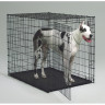 Starter Series Pet Home with Plastic Pan.jpg