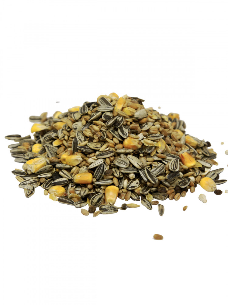 FIORY корм для крупных попугаев Classic