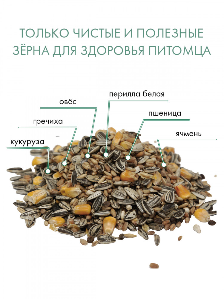 FIORY корм для крупных попугаев Classic