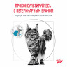 Сухой корм Royal Canin Hypoallergenic для взрослых кошек при пищевой аллергии