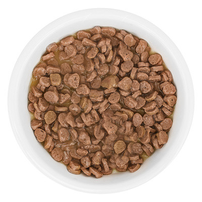 FLORIDA паучи для котят: кусочки с курицей в соусе 12 шт по 85 г