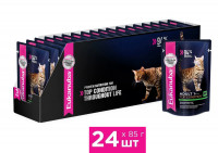 Влажный корм Eukanuba паучи для кошек с говядиной в соусе (упаковка 24 шт по 85 гр)