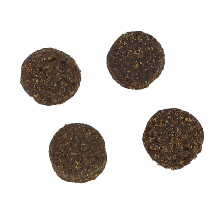 Savita Беззерновой корм для взрослых собак с мясом кабана