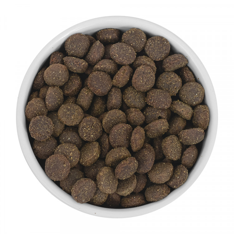 Savita Беззерновой корм для взрослых собак с мясом кабана