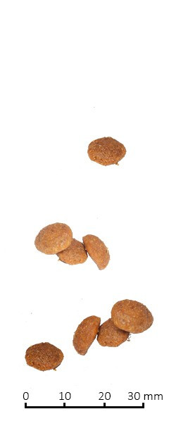 Farmina Vet Life Cat Cardiac для кошек поддержание работы сердца при хронической сердечной недостаточности