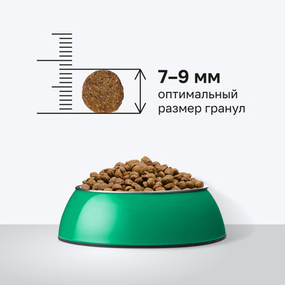 Organix полнорационный сухой корм для стерилизованных кошек с индейкой