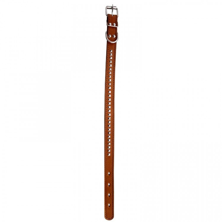 Зооэкспресс ошейник 2 слоя 