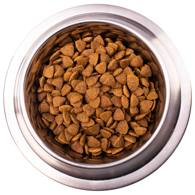 Диетический корм Monge VetSolution Dog Cardiac Кардиак для собак при заболеваниях сердца