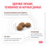 Сухой корм Royal Canin GastroIntestinal для взрослых кошек при расстройствах пищеварения