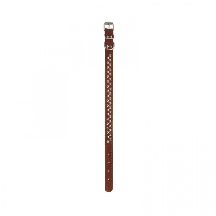 Зооэкспресс ошейник 2 слоя клепка коричневый