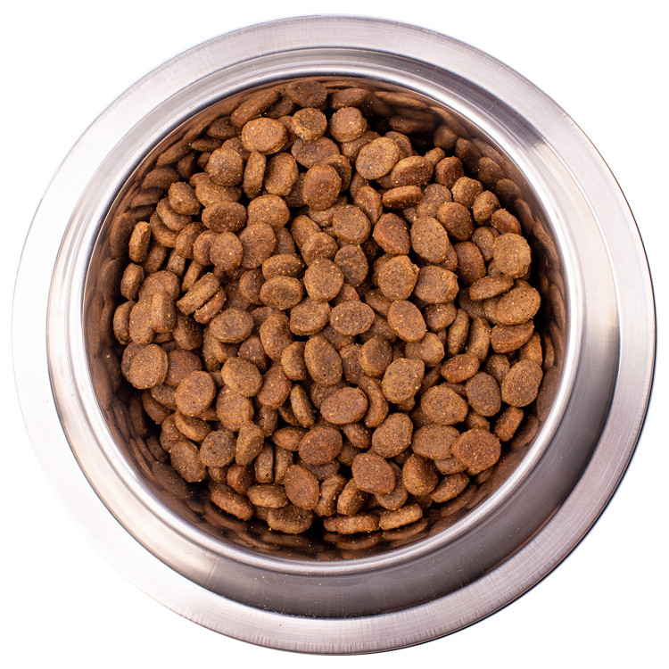 Диетический корм Monge VetSolution Dog Dermatosis Дерматозис для собак при заболеваниях кожи