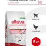 Alleva Equilibrium Chicken Kitten сухой корм для котят с курицей