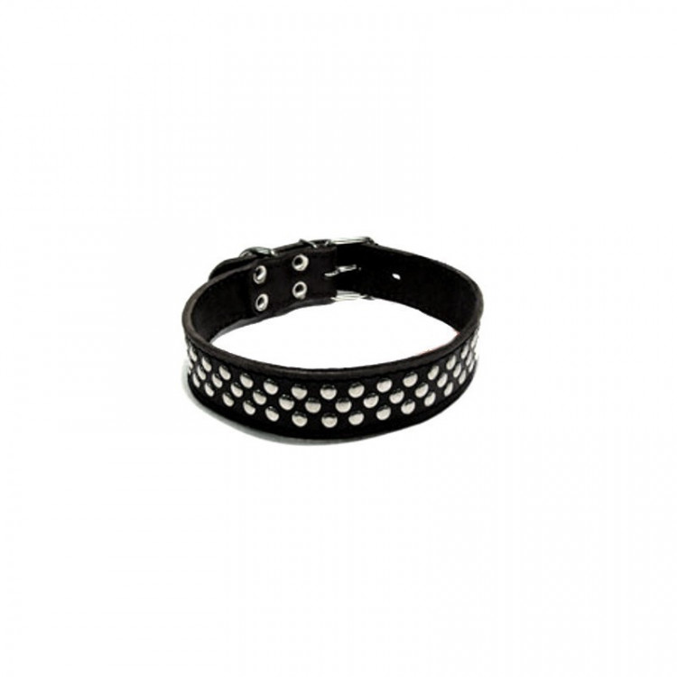 Зооэкспресс ошейник 2 слоя клепка черный