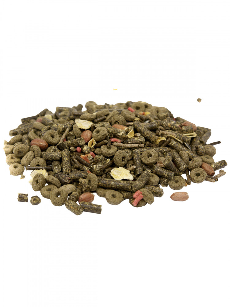 FIORY корм для дегу Deggy