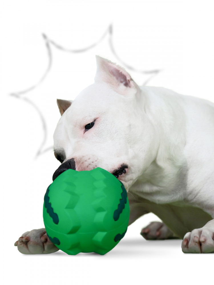  Игрушка Mr.Kranch для собак Арбуз 15 см зеленая с ароматом курицы